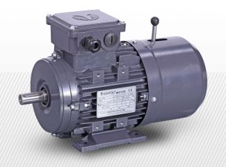 Pätkový trojfázový elektromotor (380V)<br />2 pólový (2800 1/min)