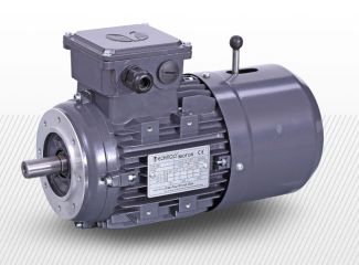 Prírubový trojfázový elektromotor (380V)<br />2 pólový (2800 1/min)