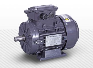 Pätkový trojfázový elektromotor (380V)<br />6 pólový (850 1/min)<br />ZONE 2